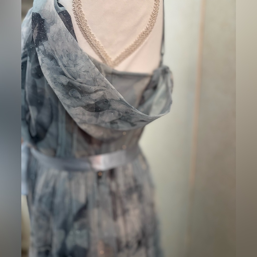 Blue Floral Sheer Maxi Dress with Belt - Picture 3 of 4